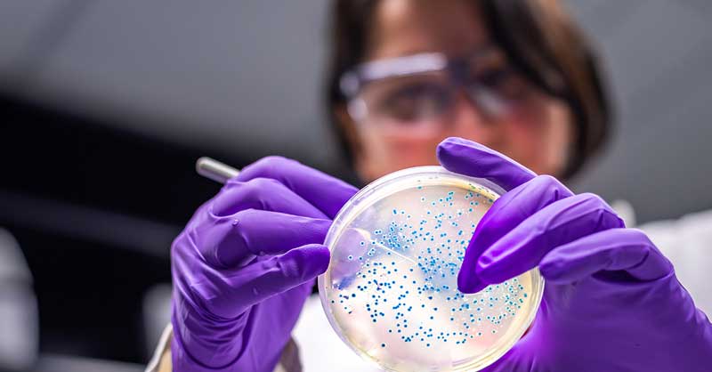 Closeup of woman in lab using a petri dish